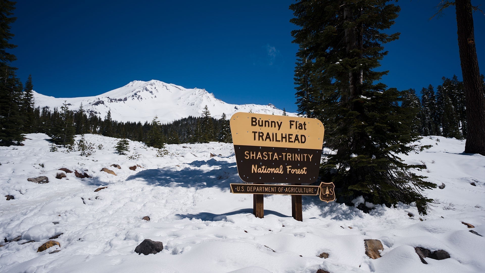 Well Lived: A Volcanic Pit Stop To Ski Shasta